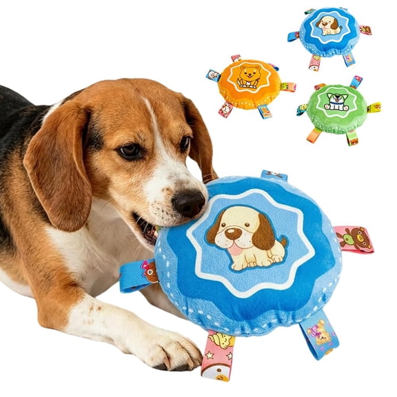 Hanging Dog Activity Toy – Squeaky Ball with Elastic Rope for Tug Fetch Play