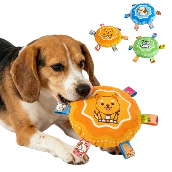 Hanging Dog Activity Toy – Squeaky Ball with Elastic Rope for Tug Fetch Play