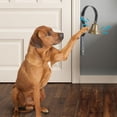 thumbnail image 1 of Hanging Dog Training Doorbell for Potty Communication and Behavior Supplies, 1 of 7