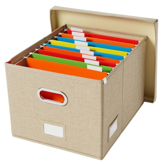 Hanging File Box with Lid & Metal Rails Document Organizer; For Hanging Letter Size Folders, Home & Office, Desktop & Cabinet Storage