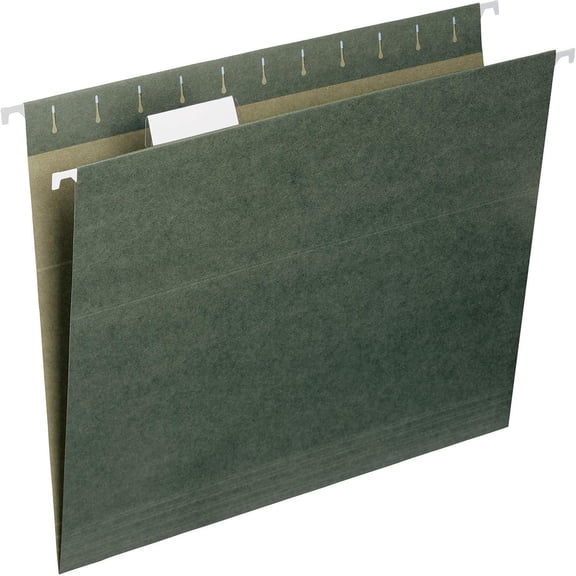 Hanging File Folder, 1/5-Cut Adjustable Tab, Letter Size, Standard Green, Hanging Folders for Filing Cabinets, File Organizer Folder, 50 Per Box