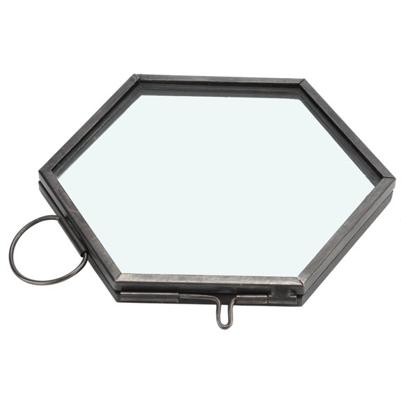 Hanging Geometric Hexagonal Glass Picture Frame Dried Flower Plant Specimen Clip Display Case