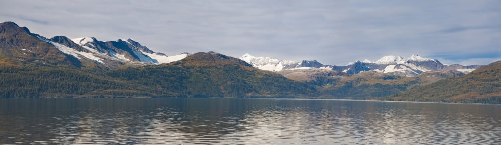 Hanging Glaciers And Chugach Mountiains In Port Wells Prince William Sound Chugach National Forest Southcentral Alaska Canvas Art - Jeff Schultz Design Pics (40 x 11)