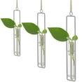 thumbnail image 1 of Hanging Glass Planter - Hydroponic Plant Propagation Test Tube Wall Hanging Terrariums Clear Transparent Glass Flower Vase for Indoor Outdoor Home Office Wedding Décor, 1 of 10