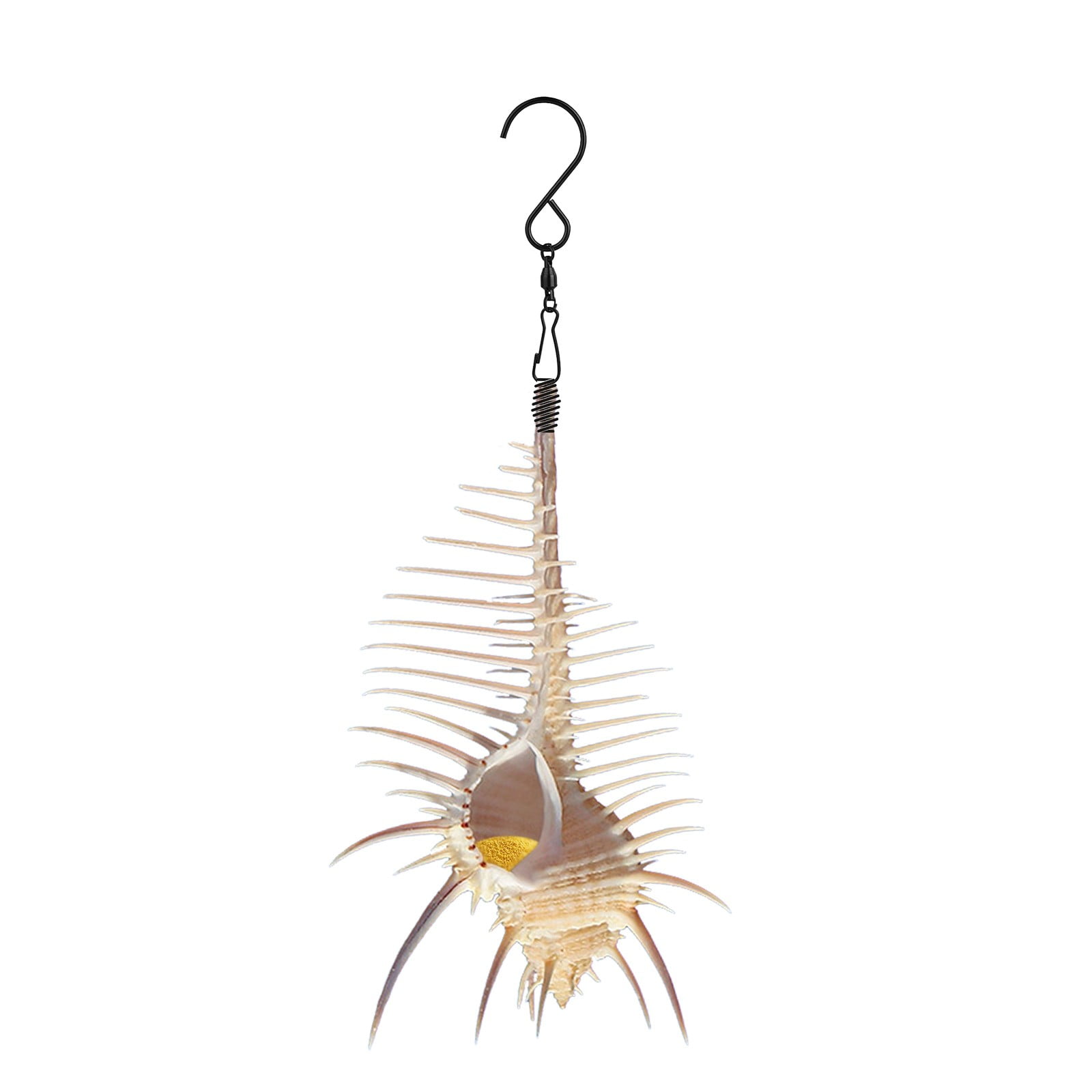 Hanging Hummingbird Conch Shape Bird Feeder For Outdoors Windows