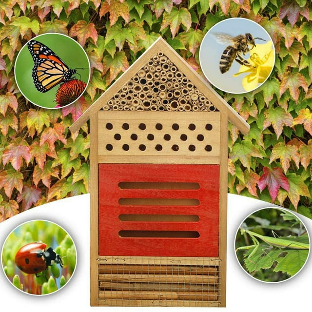 Hanging Insect House for Gardens, Natural Wooden Insect Hotel for Bee ...