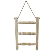 Hanging Ladder Towel Rack