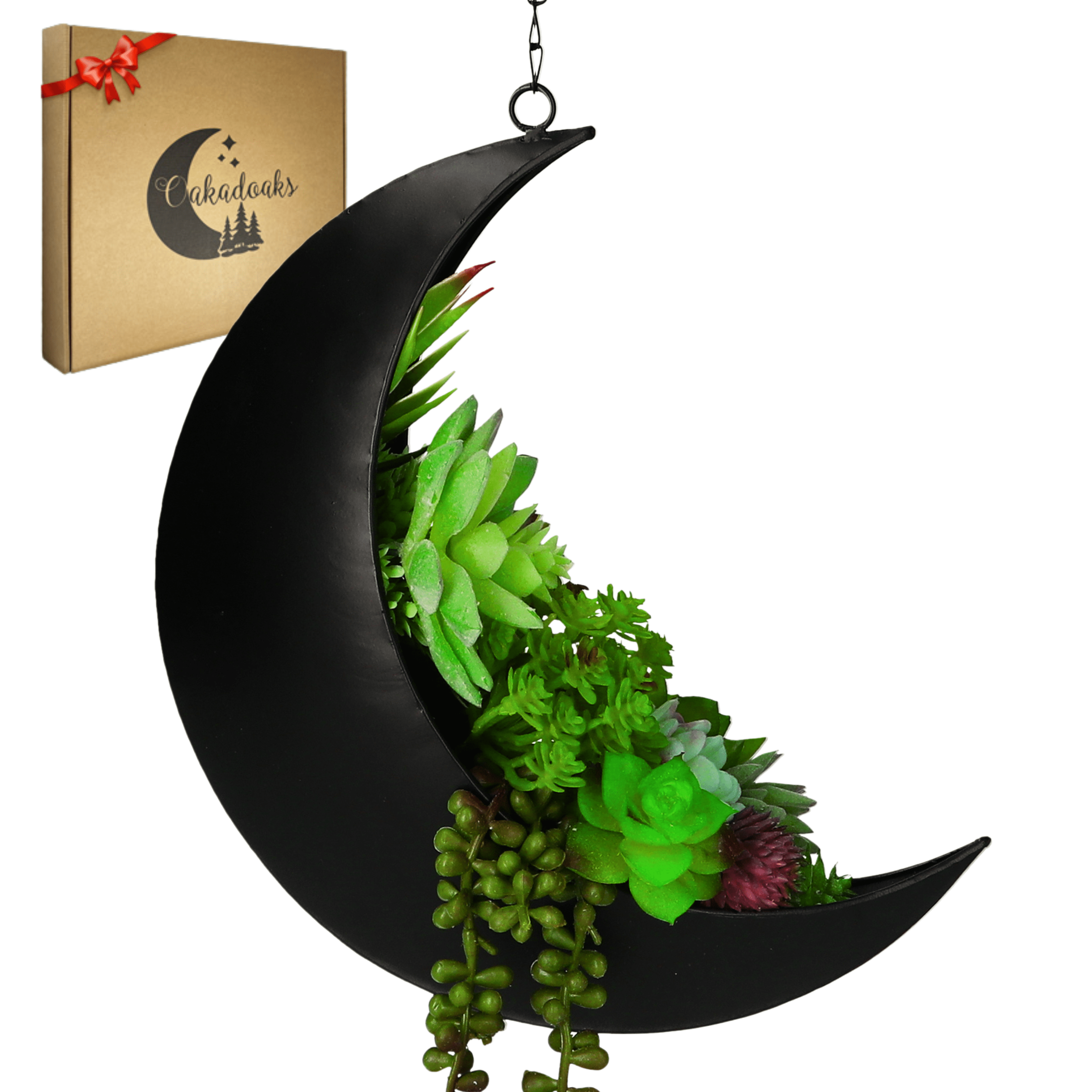 Hanging Moon Planter for Moon Room Decor - Great for Succulents, Air Plant, Mini Cactus, Faux, Artificial Plants-Boho Hanging Planters for Indoor Plants, Witchy Gifts for Women, Birthdays,Plant Lovers