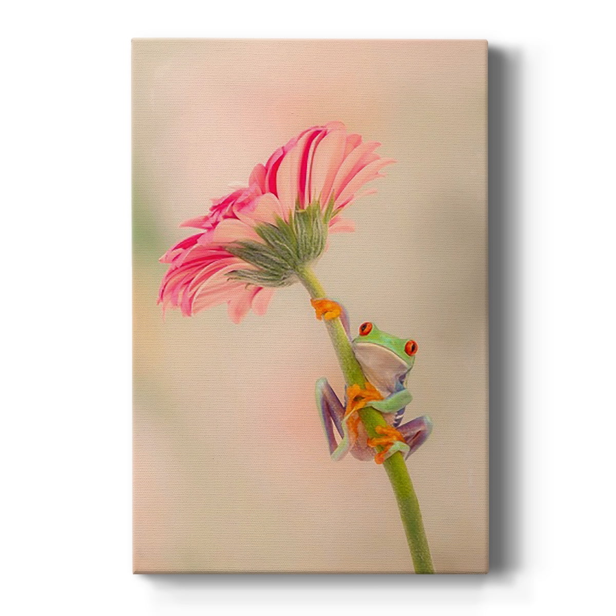 Hanging On I Premium Gallery Wrapped Canvas - Ready to Hang