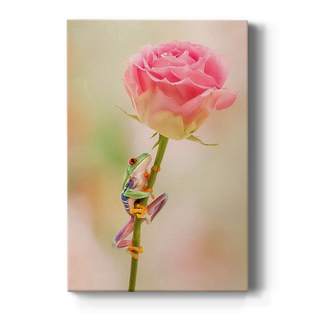 Hanging On II Premium Gallery Wrapped Canvas - Ready to Hang