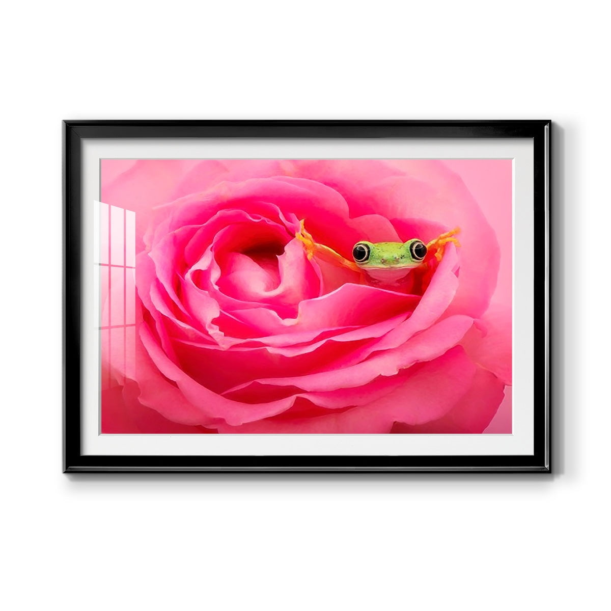Hanging On VIII Premium Framed Print - Ready to Hang