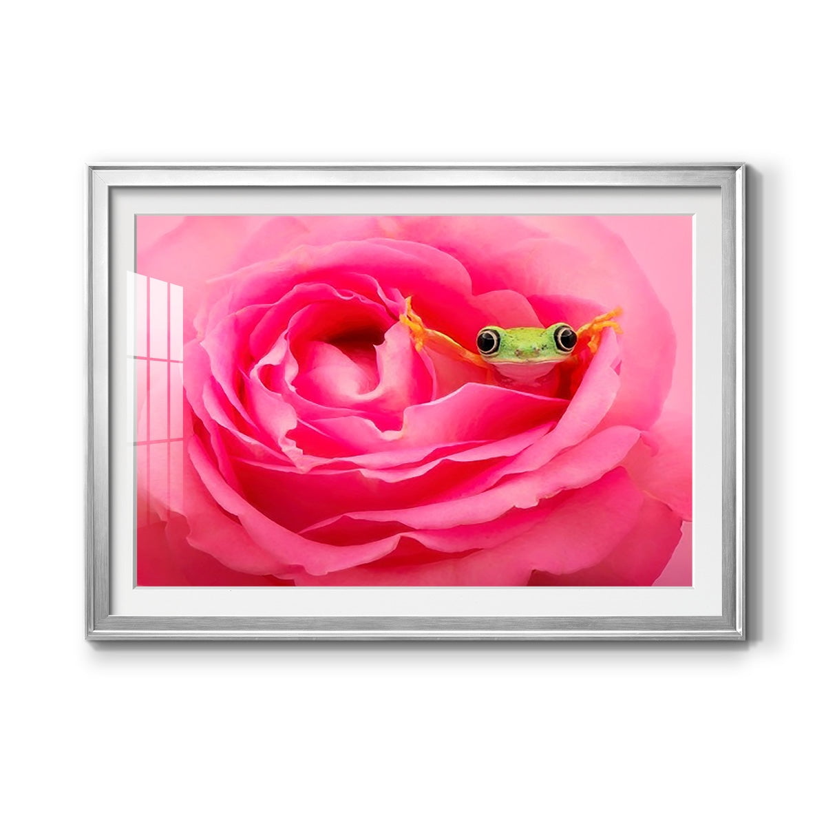 Hanging On VIII Premium Framed Print - Ready to Hang