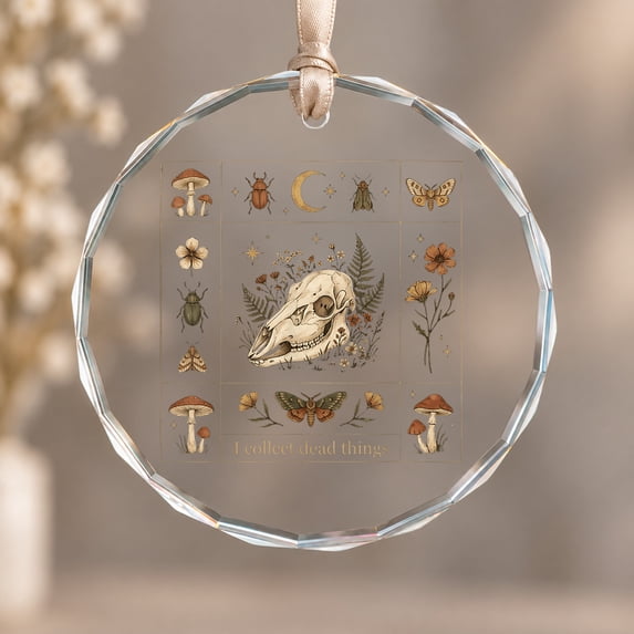 Hanging Ornament Taxidermy I Collect Things Cottagecore Seasonal Home ...