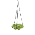 thumbnail image 1 of Hanging Outdoor Wild Bird Feeder, Seed Feeder For Garden Yard, Easy Fill Mesh Drain, Decorative, Weather-Resistant(Green), 1 of 8
