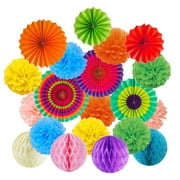 Hanging Paper Fans Flower Ball Tissue Paper Flower and Honeycomb Balls