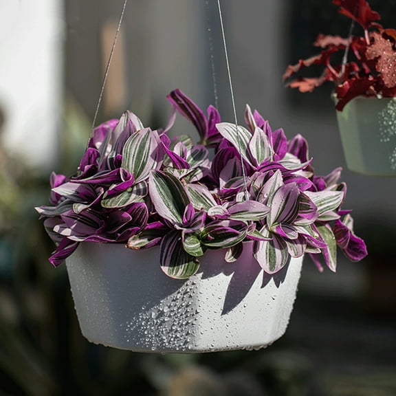 Hanging Plant Indoor Planter Modern Wall Ceiling Pot Flower Art Decor 15x15x9cm Plastic Adjustable Rope for Home Garden Balcony Living Room Minimalist