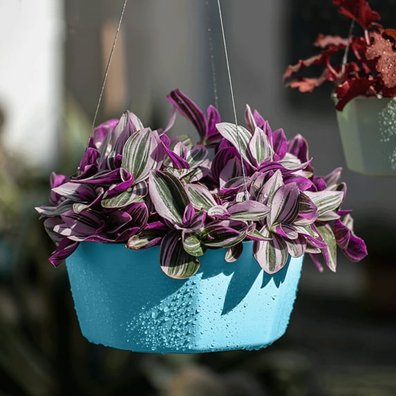 Hanging Plant Indoor Planters Art Decor Modern Wall And Ceiling Planter Flower Pot Hold Planters Hanger For Home Decor, Usupdd 2025 Hanging Plant Indoor Planters Art