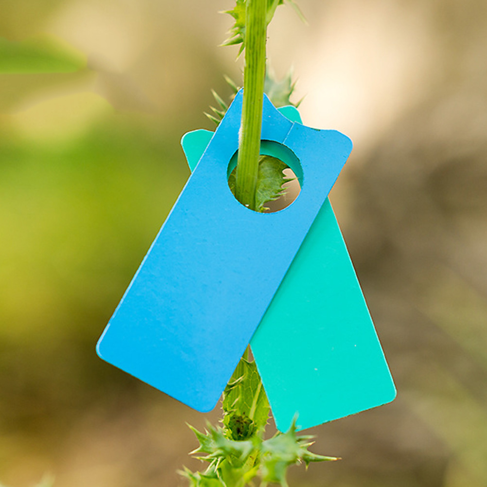 Hanging Plant Marker Tree Tags Labels Nursery Garden Identification