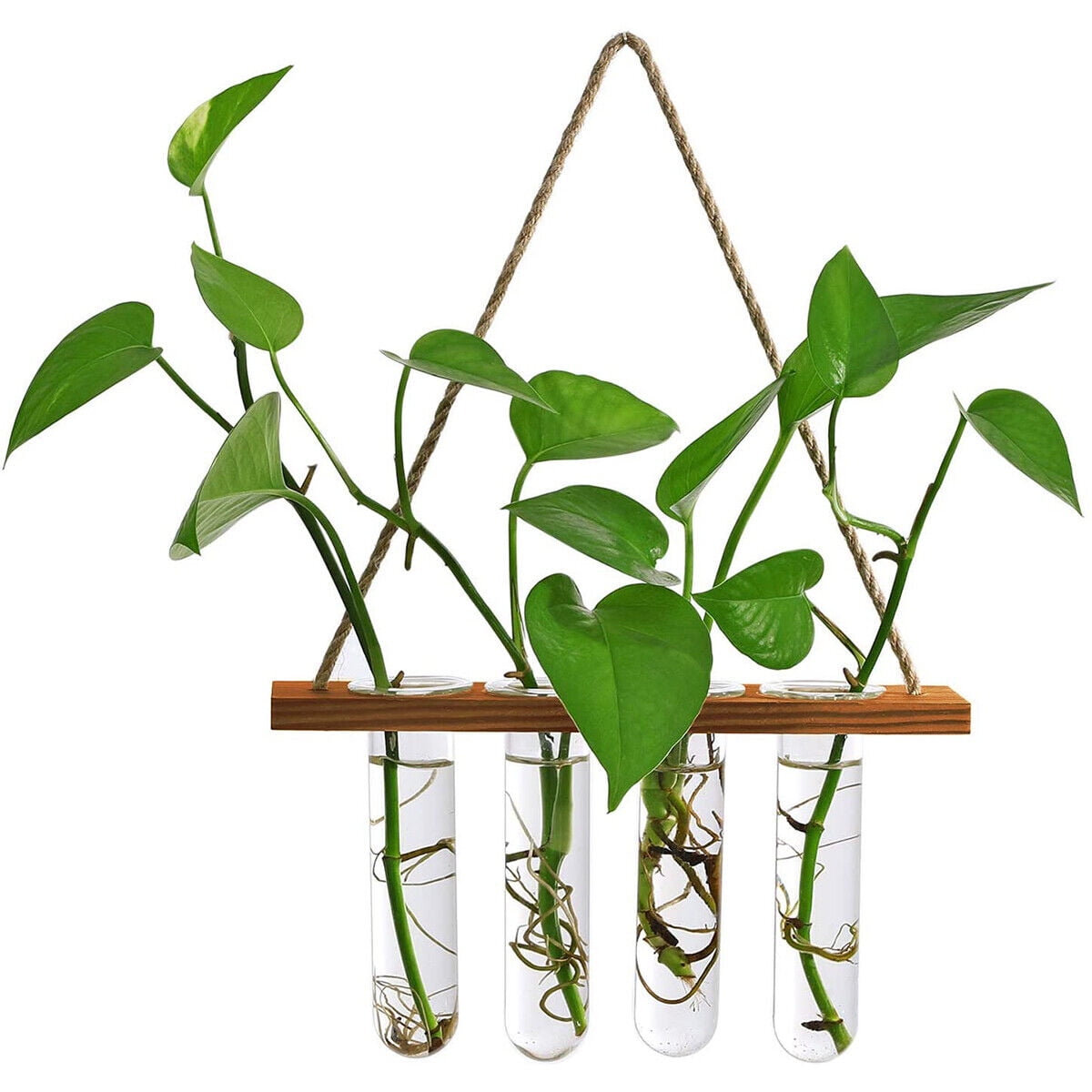 Hanging Plant Propagation Stations Tubes, with Wooden Stand Propogation