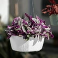 thumbnail image 1 of Hanging Planter, Czzoypi Modern Wall Ceiling Planter, Plastic Indoor Planters with Adjustable Ropes for Home Decor, White, 1 of 7