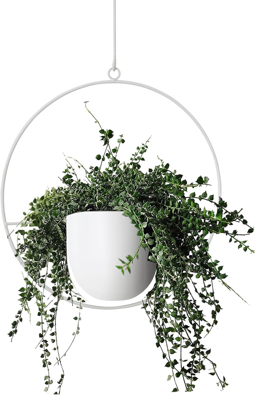 Curated visual reference: Gallery Detail: Hanging Planter For Indoor Outdoor Plants Metal Mid Century Minimalist