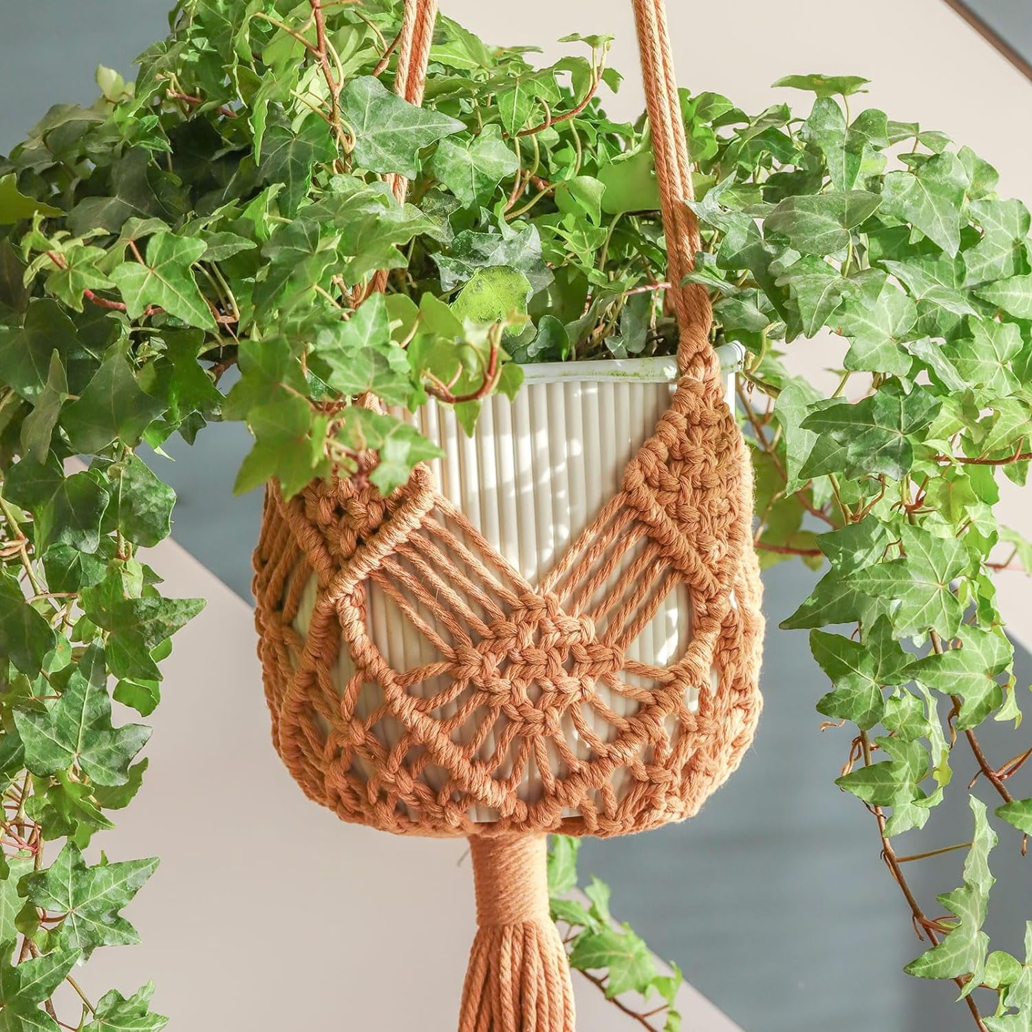 Hanging Planter with Patterns,2Packs Macrame Plant Hanrs Indoor for up ...