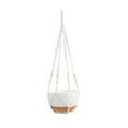 thumbnail image 1 of Hanging Planters 10 Inch Self-Watering, 2 Pack - Indoor Outdoor Flower Pots with Ropes & Hook, 1 of 9