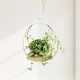 thumbnail image 1 of Hanging Planters for Indoor Plants - Plant Hanger Outdoor, Metal Plant Hanger Mid Century  Macrame, Hanging Wall Ceiling Window, Gift for Mom, Plant Lovers, Housewarming, 1 of 12