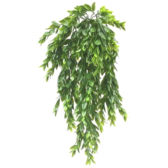 Hanging Ruscus Bush by Ashland