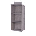 thumbnail image 1 of Hanging Shelf Organizer, Foldable Storage Solution, Space-Saving Hanging Storage Shelves, Portable Closet Organizer for Kids' Clothing (Gray), 1 of 6