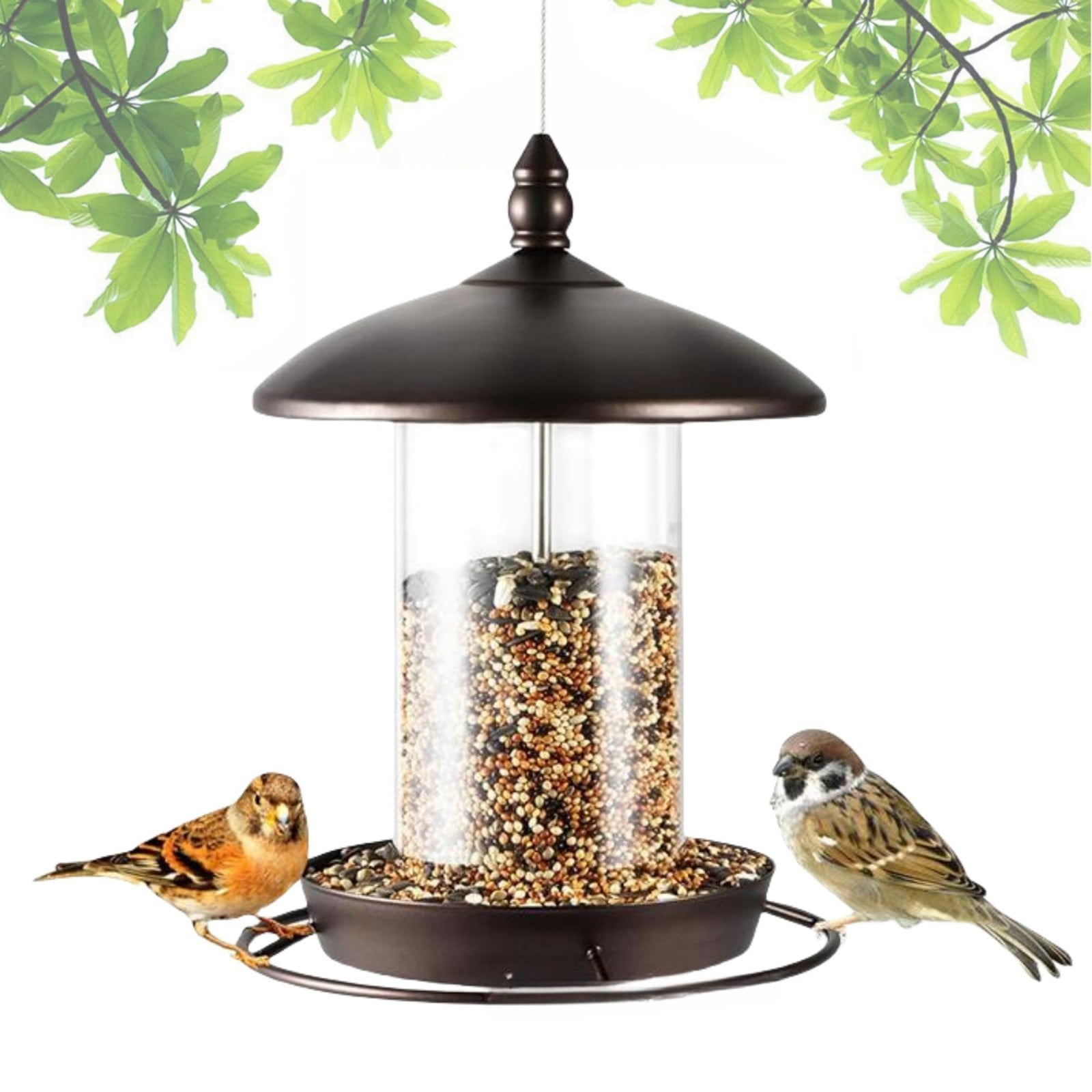 Hanging Standing Outdoor Garden Bird Feeder for Hummingbirds & Wild Birds | Weather-Resistant Metal & Glass Feeder | Easy to Clean & Refill for Backyard, Patio, or Balcony Bird Watching