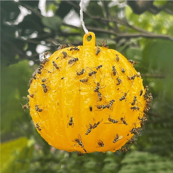 Hanging Sticky Fly Trap Balls, Solid Adhesive Insect Catcher, Easy Hanging Pest Control for Kitchen Garden Home