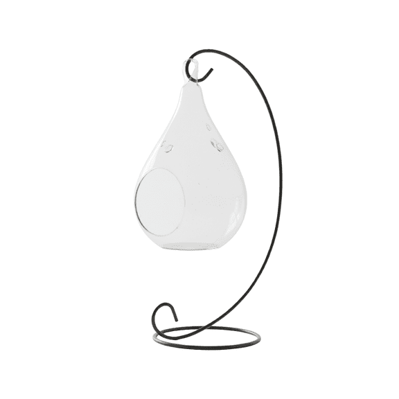 Hanging Teardrop Glass Terrarium with Stand: Air Plant & Succulent Holder