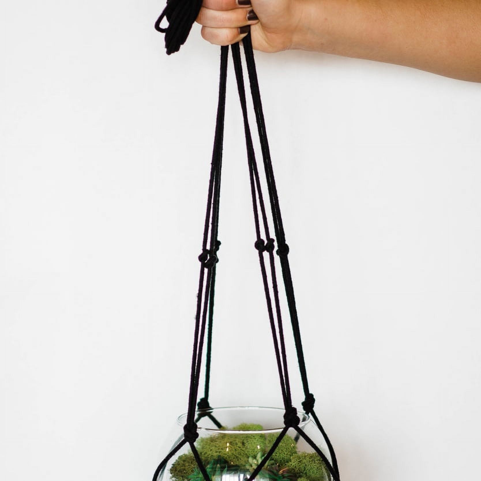 Hanging Terrarium Kit