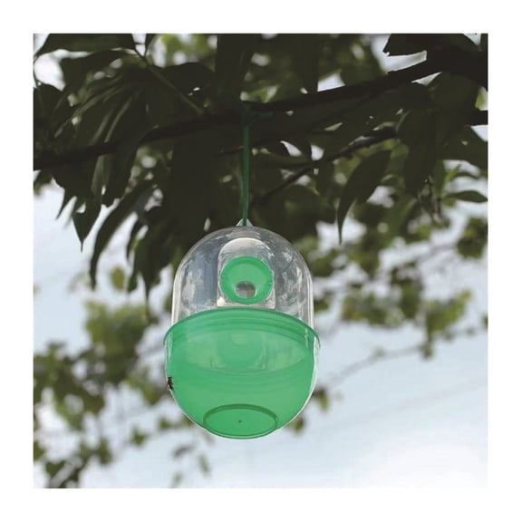 Hanging Wasp Trap Reusable Transparent Fruit Fly Catcher Yellow Jacket Trap for Garden Patio and Outdoor 1Pcs