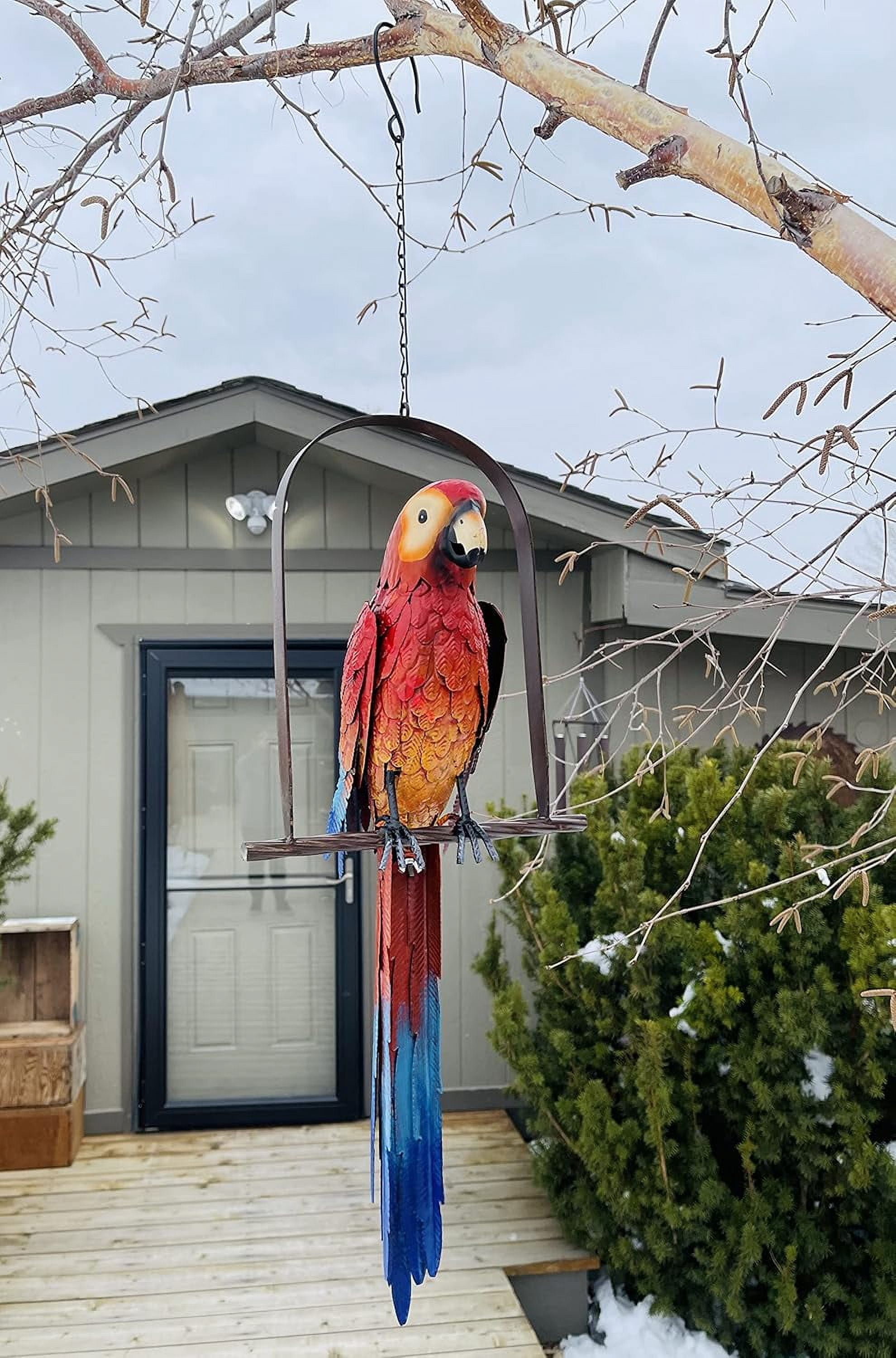 Photo inspiration: Macaw Bird Play Yard With Swing Reference: Hanging Whimsical Metal Swinging Macaw Parrot Tropical On Chain Yard