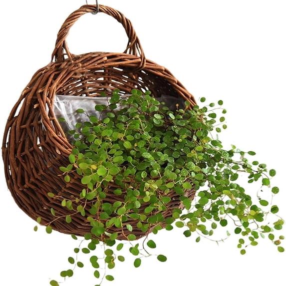 Hanging Woven Wall Basket Planter Handmade Natural Rattan Hanging Flower Pot for Indoor Outdoor Home Garden Wedding Wall Mounted Decor