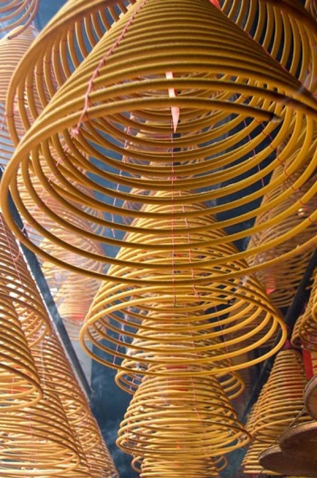 Hanging coils of burning incense Man Mo Temple Tai Po New Territories Hong Kong China Canvas Art - Cindy Miller Hopkins DanitaDelimont (11 x 17)