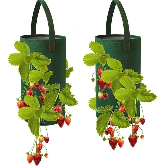 Hanging strawberry planting box, suitable for strawberry bare root plants (excluding roots) 2 packs of felt material