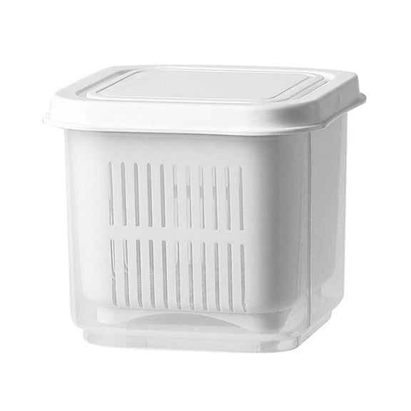 HannLk Mini Refrigerator Organizer with Lid Portable Fruit Vegetable Organization