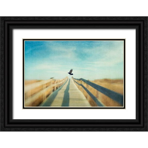 Hanna, Dawn D. 14x11 Black Ornate Wood Framed with Double Matting Museum Art Print Titled - Fly