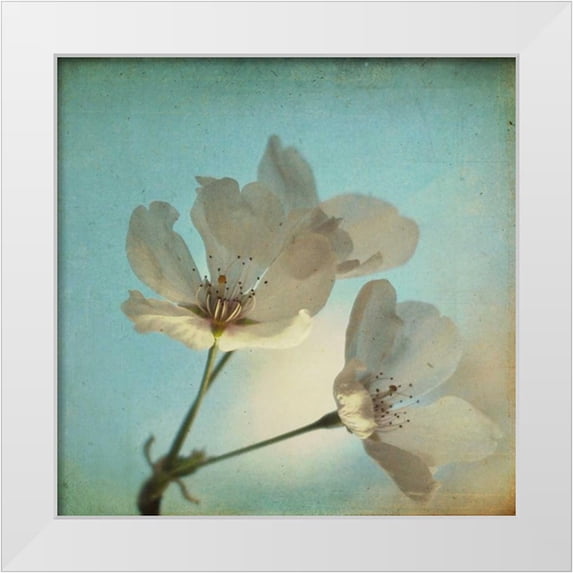 Hanna, Dawn D. 15x15 White Modern Wood Framed Museum Art Print Titled - Spring Sings
