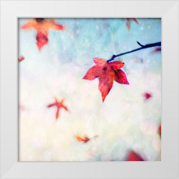 Hanna, Dawn D. 20x20 White Modern Wood Framed Museum Art Print Titled - All Fall Down