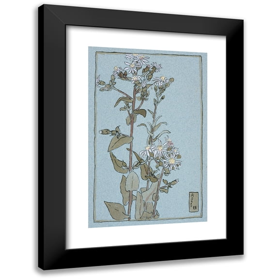 Hannah Borger Overbeck 17x24 Black Modern Framed Museum Art Print Titled - Aster on Green Ground (circa 1915)
