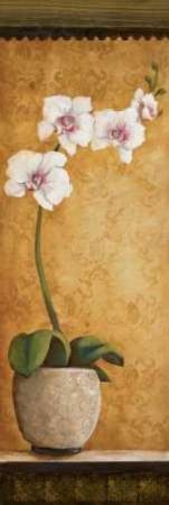 Hannas Orchids I Canvas Art - Susan Osborne (8 x 24)