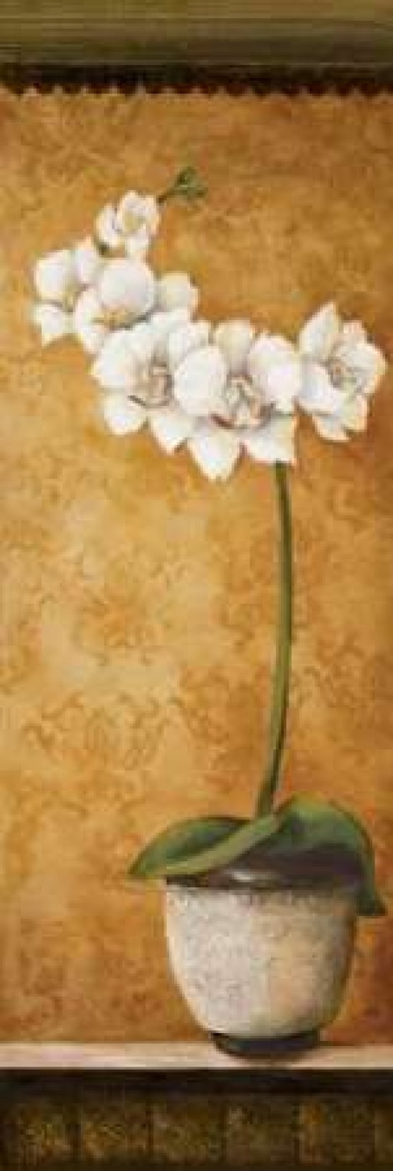 Hannas Orchids II Canvas Art - Susan Osborne (8 x 24)