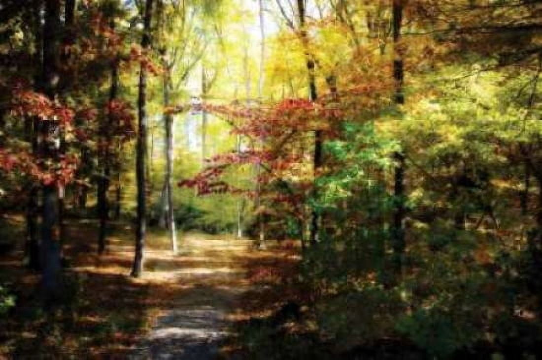 Hanover Wayside I Canvas Art - Alan Hausenflock (12 x 18)