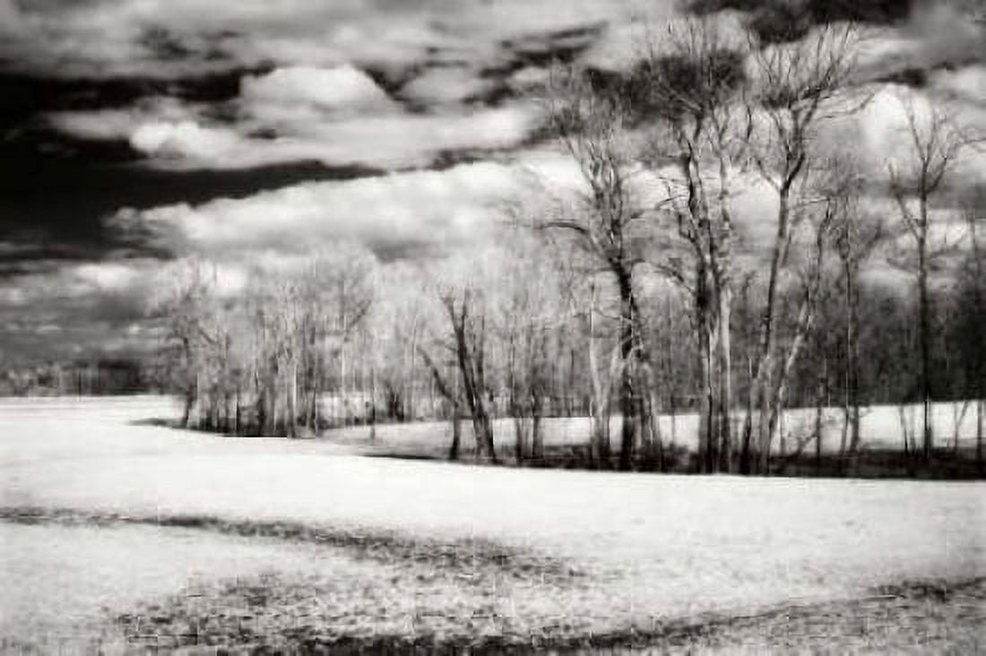 Hanover Winter I Canvas Art - Alan Hausenflock (20 x 28)