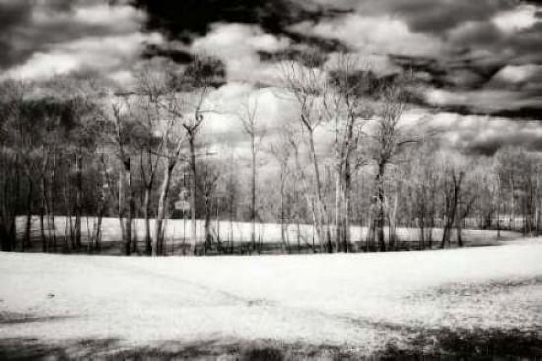 Hanover Winter II Canvas Art - Alan Hausenflock (20 x 28)