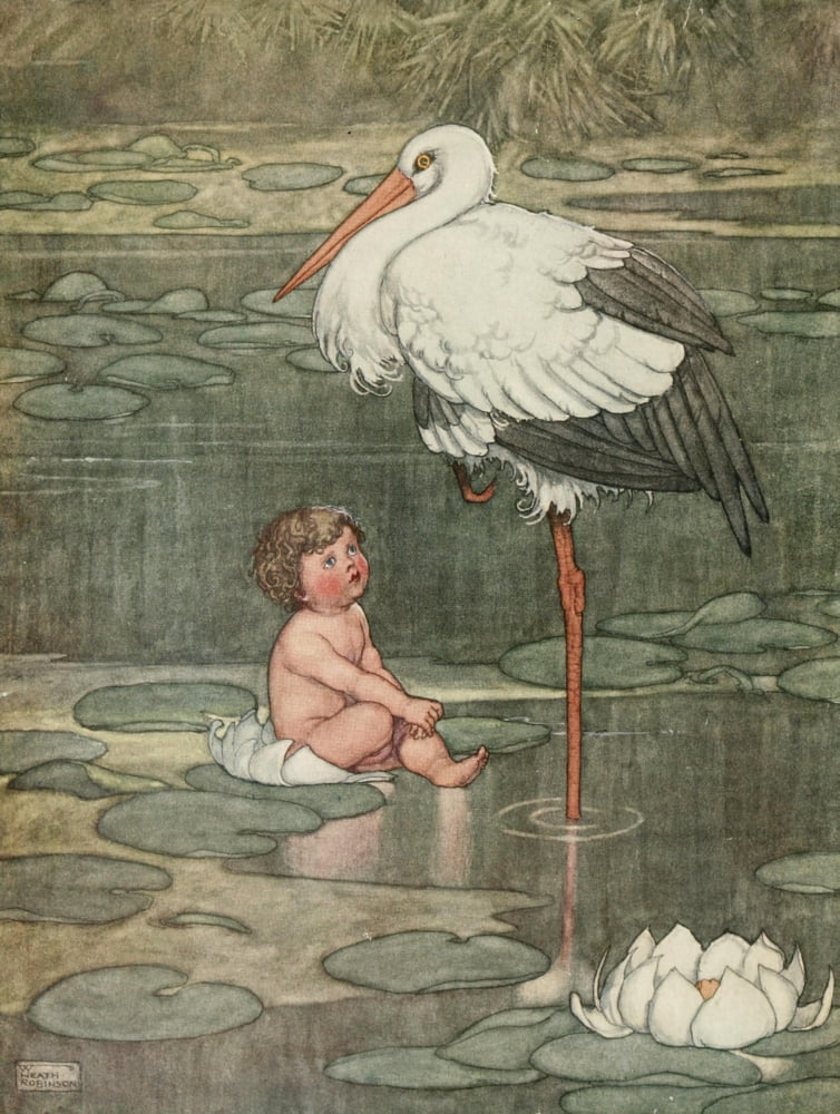 Hans Andersens Fairy Tales 1913 The Marsh Kings daughter Canvas Art - W Heath Robinson (18 x 24)